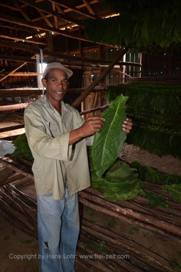 Tobacco-Farmer,_Pinar_del_Rio,_DSC_8869_b_H600