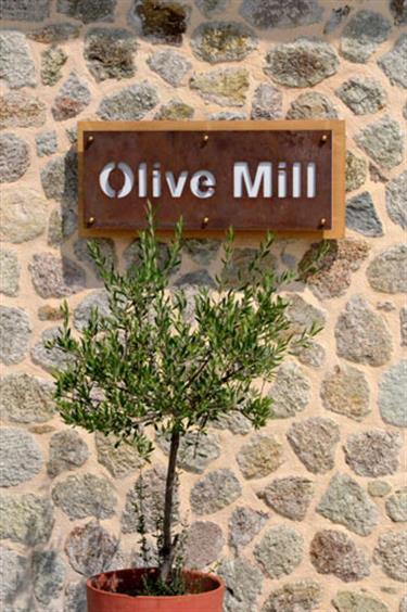 Mavroudis-Corfu-Family-Olive-Oil,_DSE_9239_bH490