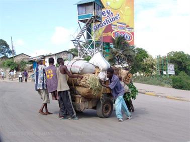 KENYA_2007,_Mombasa_day_trip,_DSC04568H488
