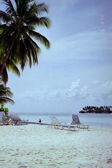 Maledives,_Vilu_Reef,_2000,_00AH600