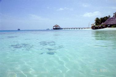 Maledives,_Vilu_Reef,_2000,_09AH600
