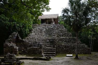 Coba,-an-old-Mayan-City,_DSC_6376_b_H600Px