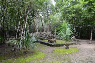 Coba,-an-old-Mayan-City,_DSC_6381_b_H600Px