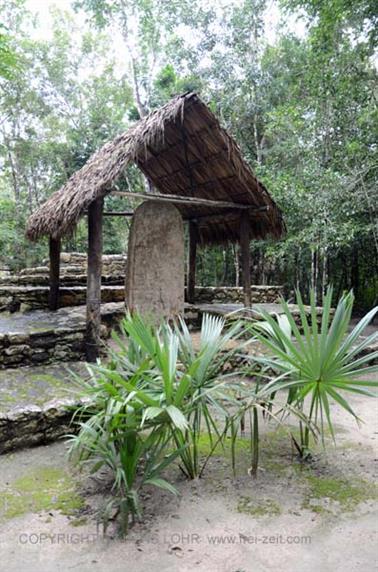 Coba,-an-old-Mayan-City,_DSC_6390_b_H600Px