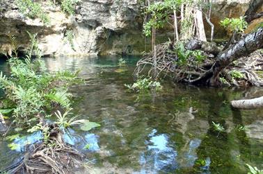 Grand-Cenote,-Tulum,_PB200523_b_H600Px