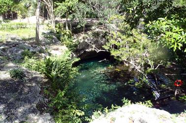Grand-Cenote,-Tulum,_PB200570_b_H600Px