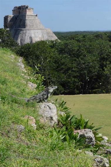 Uxmal-an-old-Mayan-City,_DSC_5424_b_H600Px