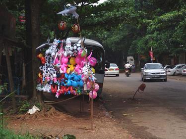 Kandy,_Elephant_camp,_DSC06511B_H600