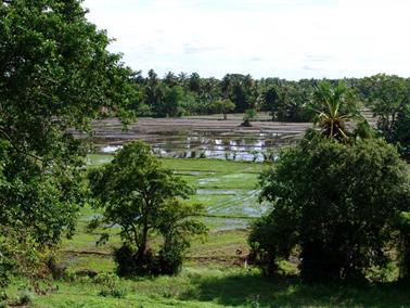 Polonnaruwa,_Minnerya_Watertank,_DSC06099B_H600