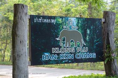 Klong-Plu,-Elephant-Camp,_DSC_0447_H600PxH488