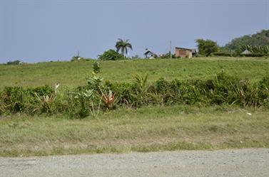 Carriage_ride_to_Guardalavaca,_DSC3219_b_B740
