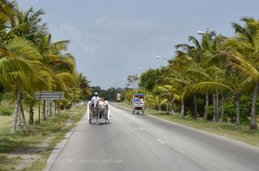Carriage_ride_to_Guardalavaca,_DSC3229_b_B740