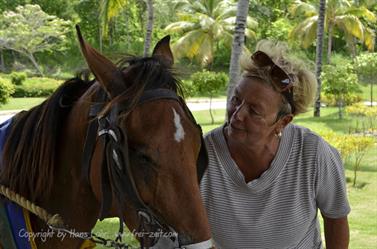 Carriage_ride_to_Guardalavaca,_DSC3280_b_B740