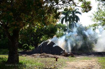 Charcoal_burner,_Vinales,_DSC_9048_b_H600