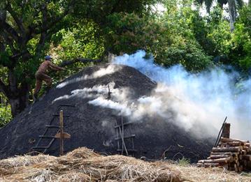 Charcoal_burner,_Vinales,_DSC_9054_b_H600