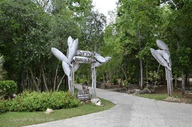 Paradisus_Rio_de_Oro-Hotel,_DSC3720_b_B740