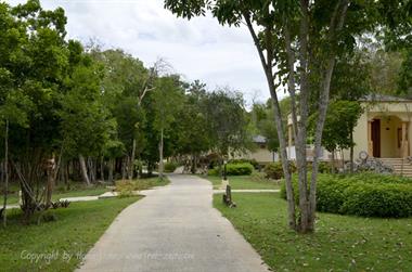 Paradisus_Rio_de_Oro-Hotel,_DSC3740_b_B740
