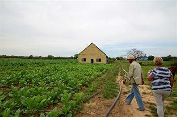 Tobacco-Farmer,_Pinar_del_Rio,_DSC_8844_b_H600