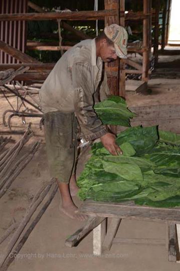 Tobacco-Farmer,_Pinar_del_Rio,_DSC_8867_b_H600