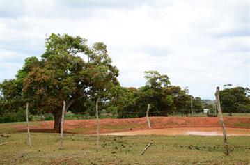 Tobacco-Farmer,_Pinar_del_Rio,_DSC_9030_b_H600