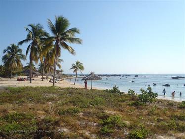 Trinidad_del_Mar,_P3271977_b_H600