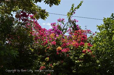 Varadero-Village,_Sightseeing,_DSC2032_b_B740