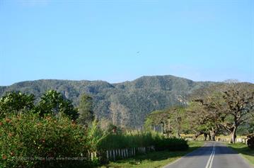 Vinales_Valley,_DSC_8879_b_H600