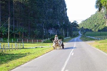 Vinales_Valley,_DSC_8881_b_H600