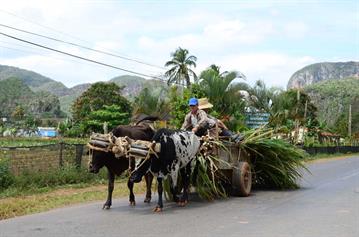 Vinales_Valley,_DSC_8992_b_H600