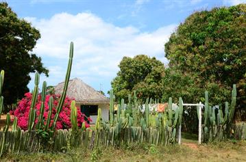 Vinales_Valley,_DSC_9000_b_H600