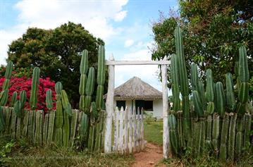 Vinales_Valley,_DSC_9005_b_H600