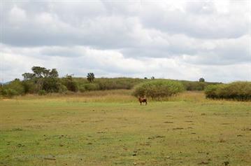 Vinales_Valley,_DSC_9006_b_H600