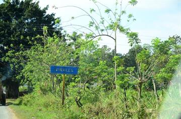 Vinales_Village,_DSC_8897_b_H600