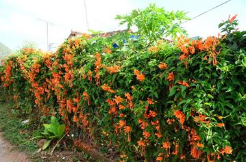 Vinales_Village,_DSC_8903_b_H600