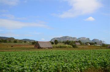 Vinales_Village,_DSC_8922_b_H600