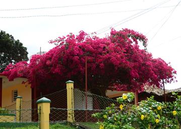 Vinales_Village,_DSC_8936_b_H600