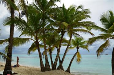 Boat_trip_to_Isla_Saona,_DSC_2954,_30x20cm