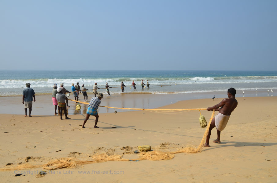 Fishing with net at Chowara Beach
