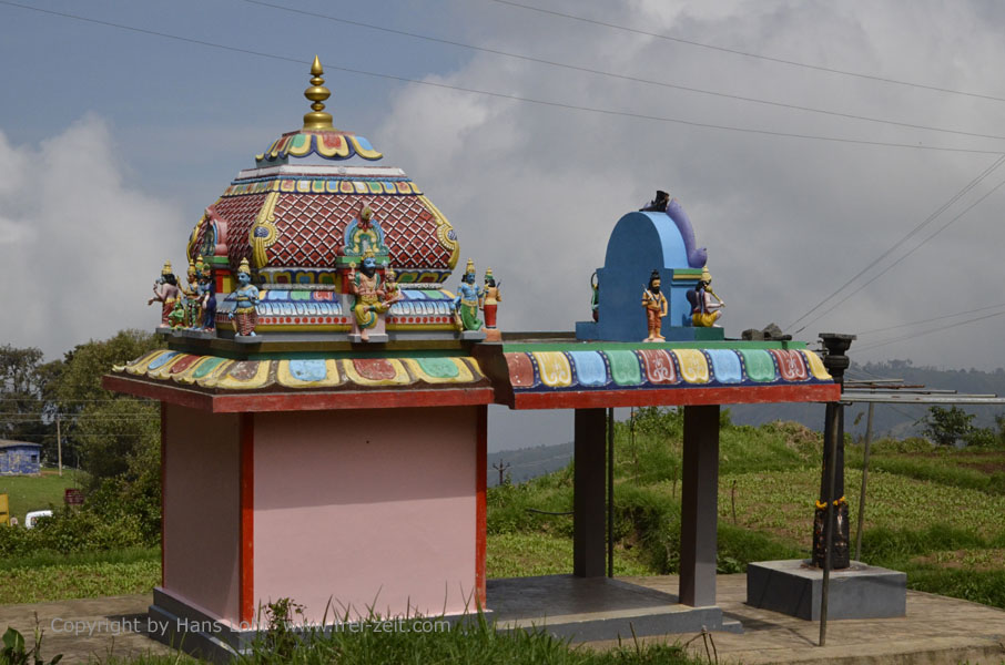 On Road-Route Ooty to Coonoor