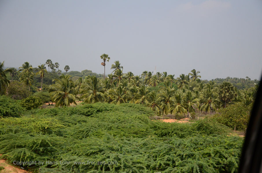 On Route Kanyakumari to Kovalam