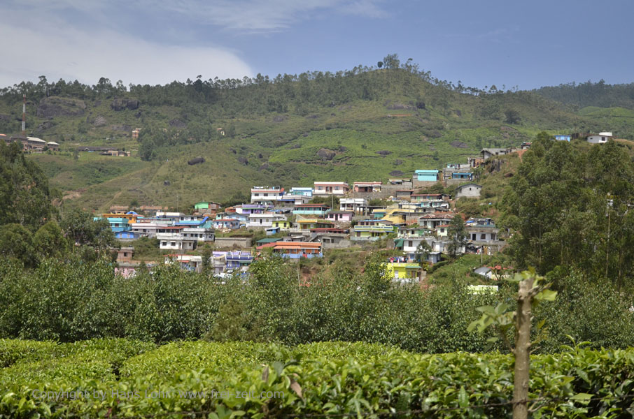 On Route Munnar to Cochin