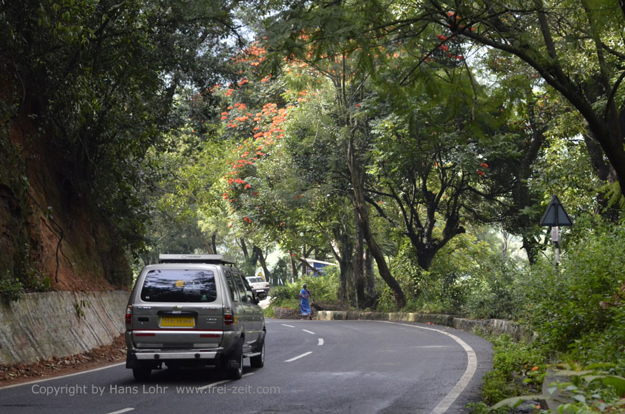 On Route Ooty to Munnar