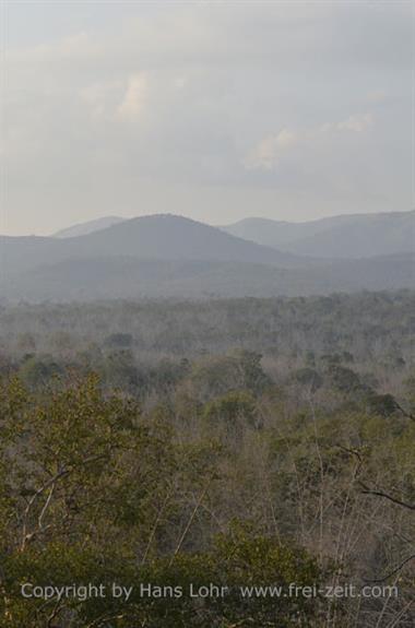 Bandipur-Nationalpark_DSC5152_H600