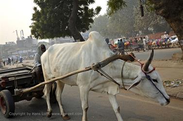 DELHI_OLD_TOWN,__DSC2113_b_H600