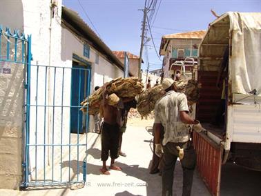 KENYA_2007,_Mombasa_day_trip,_DSC04674H488