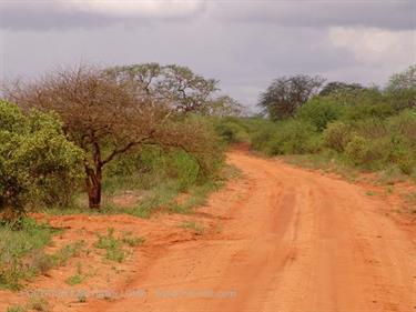 KENYA_2007,_Safari,_Tsavo_NP,_DSC04972H488