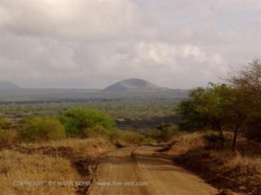 KENYA_2007,_Safari,_Tsavo_NP,_DSC05131H488