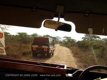 KENYA_2007,_Safari,_Tsavo_NP,_DSC05135H488