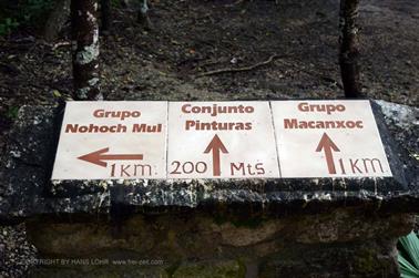 Coba,-an-old-Mayan-City,_DSC_6401_b_H600Px