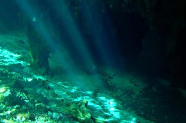 Grand-Cenote,-Tulum,_PB200554_b_H600Px